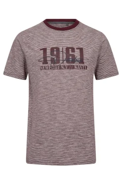 Alvin print - Stribet T-shirt med print